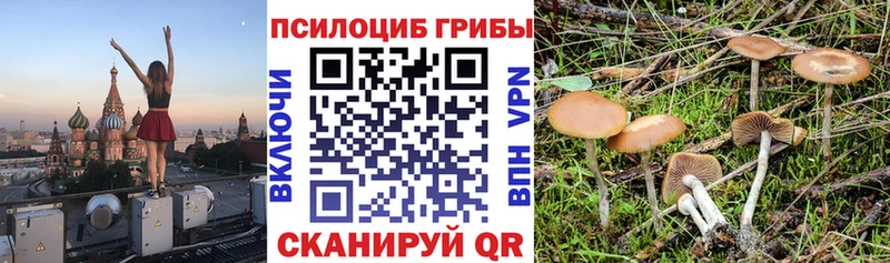 закладки  Наро-Фоминск  Псилоцибиновые грибы Magic Shrooms 